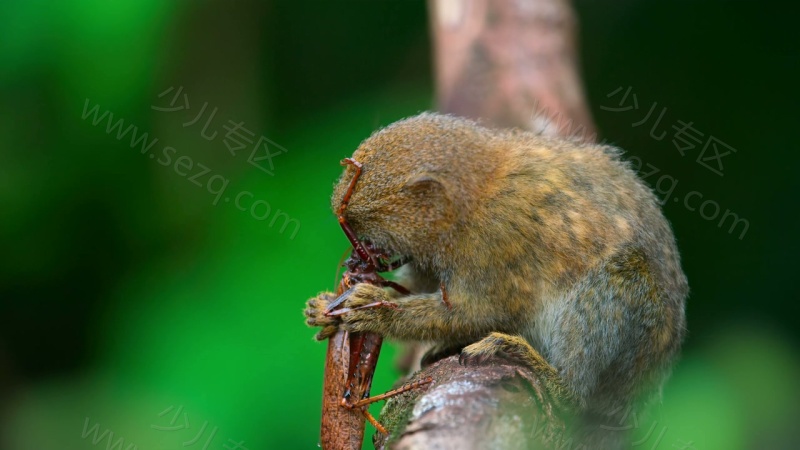 小小世界的剧照截图2