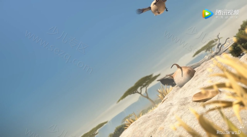 圆滚滚的动物世界的剧照截图4