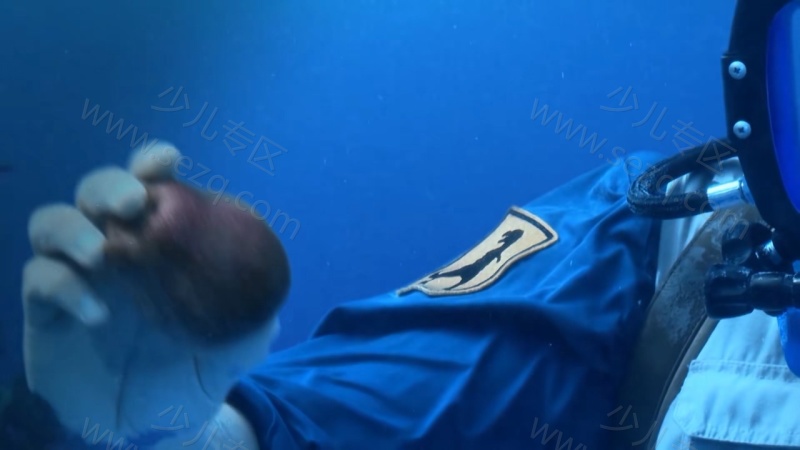 安迪的史前冒险的剧照截图7