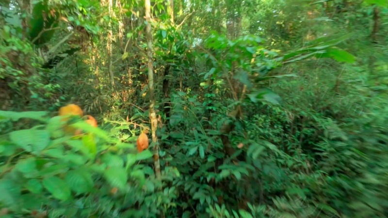 小小世界的剧照截图4