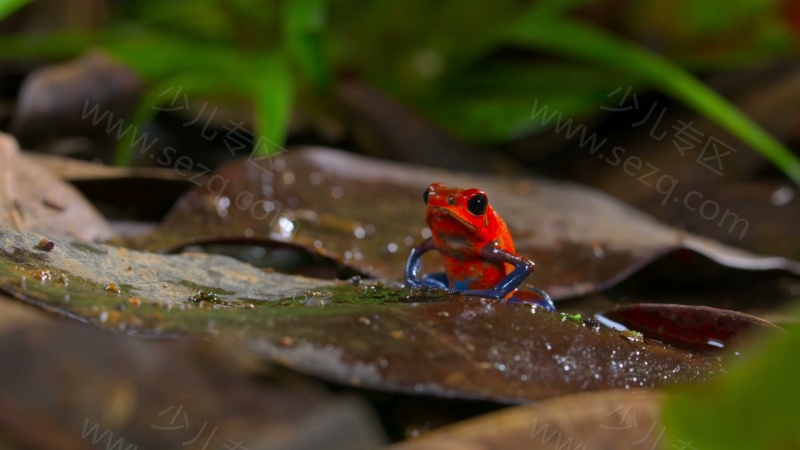 小小世界的剧照截图6