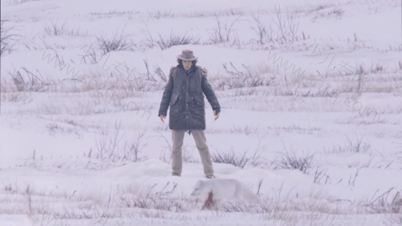 安迪的旅行冒险的剧照截图7