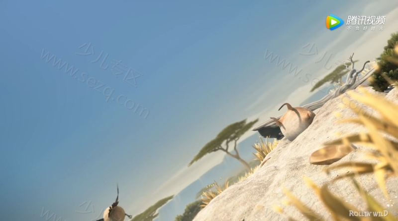 圆滚滚的动物世界的剧照截图6