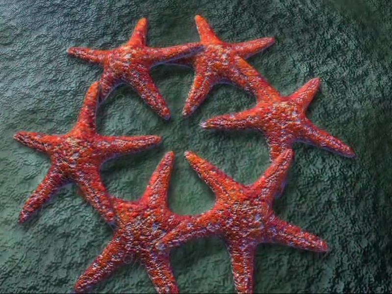 探索地球村的剧照截图6