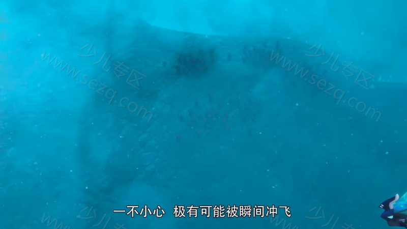 猪猪侠之深海小英雄的剧照截图1