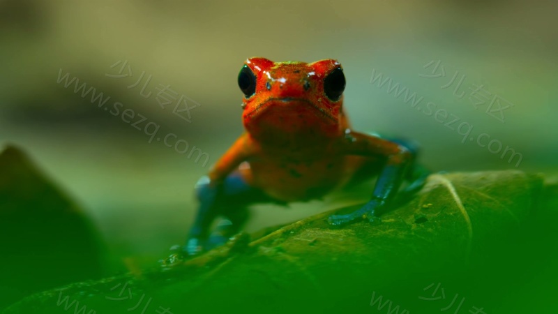 小小世界的剧照截图1