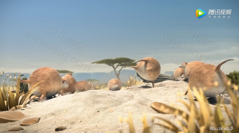 圆滚滚的动物世界的剧照截图1