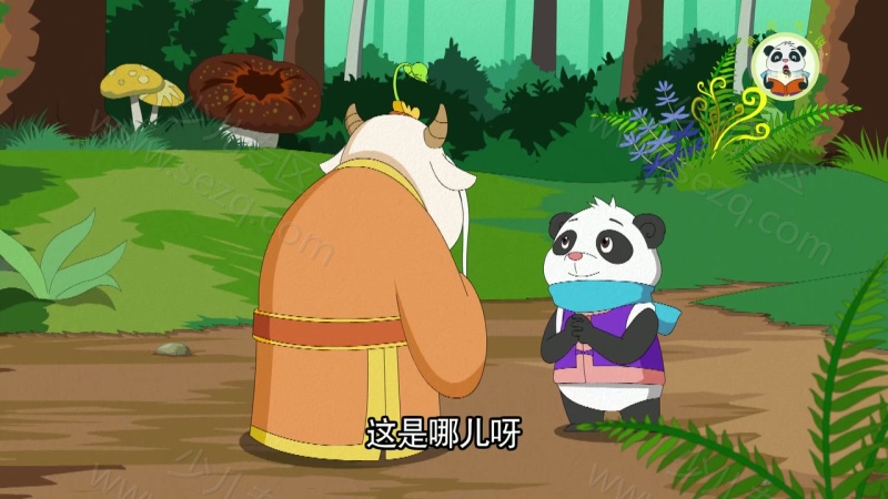 神奇熊猫的剧照截图5