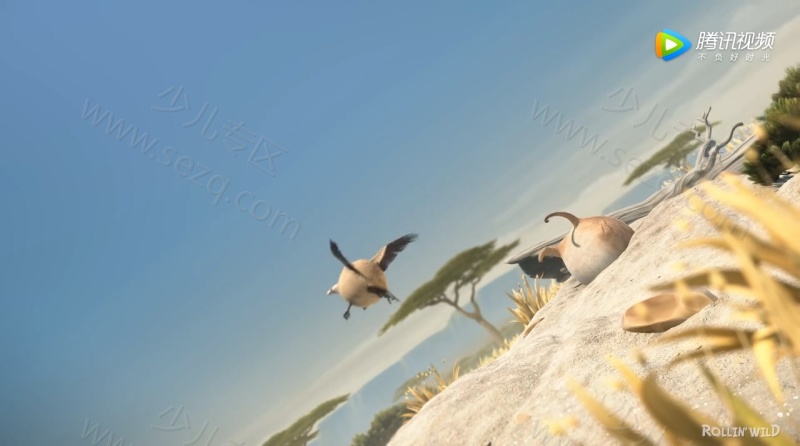 圆滚滚的动物世界的剧照截图5