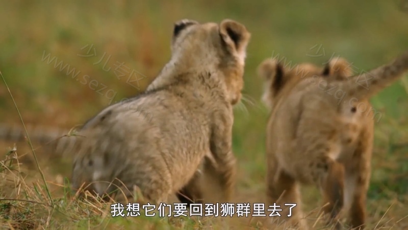 安迪的前五名的恐龙的剧照截图3