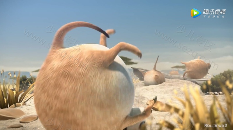 圆滚滚的动物世界的剧照截图2