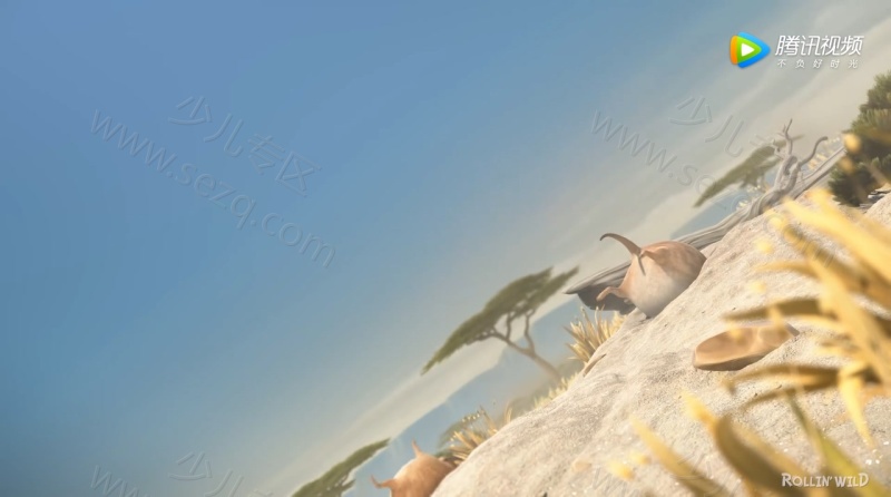 圆滚滚的动物世界的剧照截图3