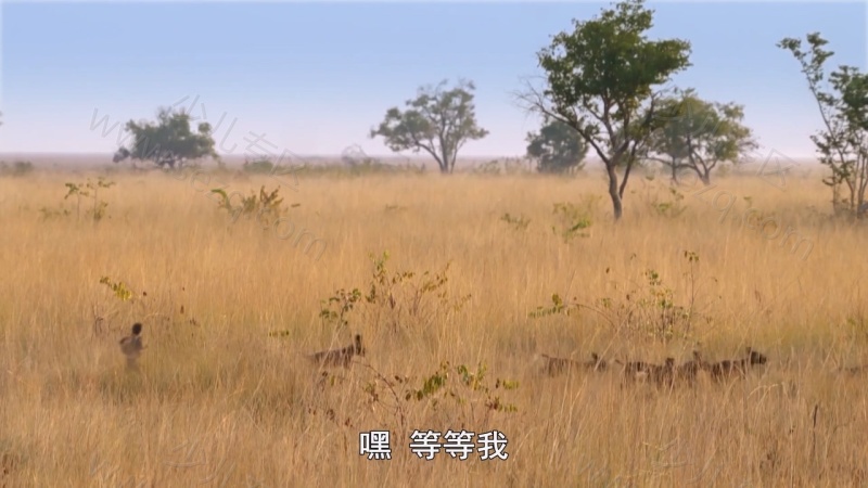 安迪的前五名的恐龙的剧照截图1