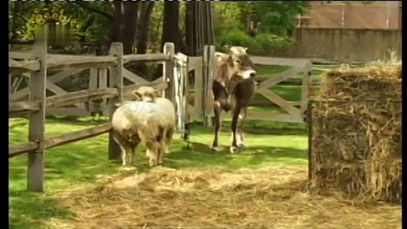 艾拉贝拉答对了的剧照截图4