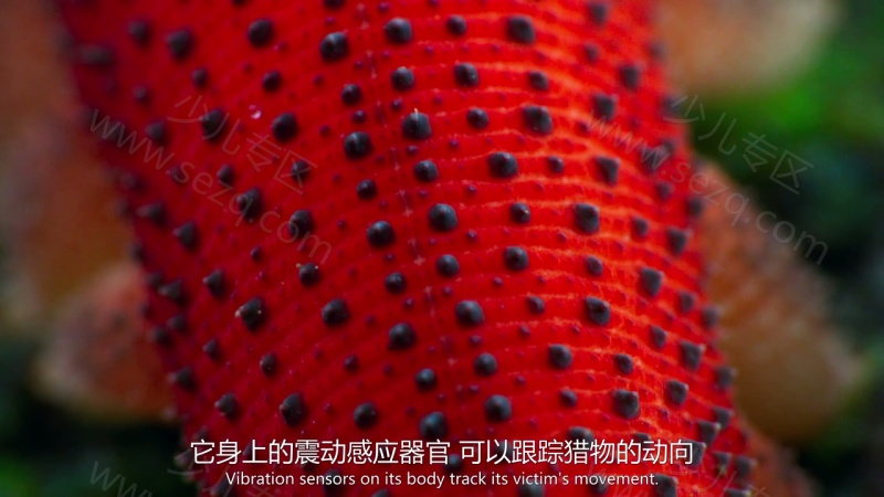 小小世界的剧照截图5