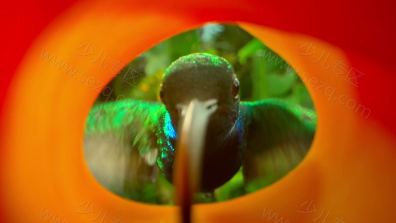 小小世界的剧照截图3