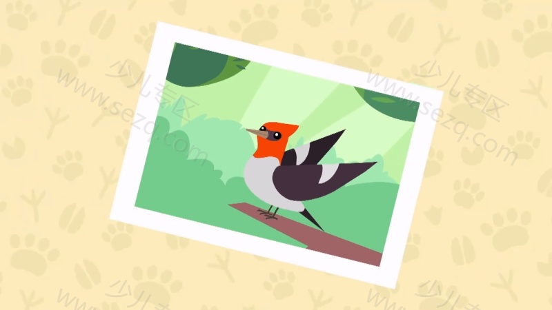 奥托看动物的剧照截图4