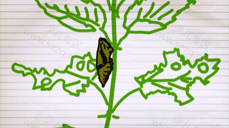 侦探河马的剧照截图7