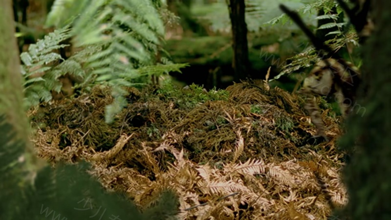 安迪的恐龙冒险的剧照截图5