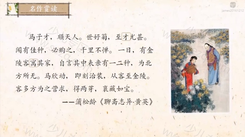 爱上小古文的剧照截图4