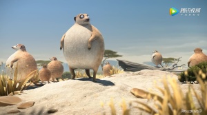 萌趣动画片《圆滚滚的动物世界 ROLLIN’ WILD》全15集 无对白 1072P/MP4/84.14MB 下载