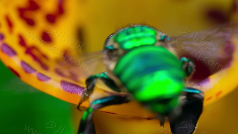 小小世界的剧照截图7