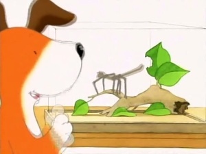 益智动画片《小狗卡皮 Kipper the Dog》全78集 英语版 高清/MP4/1.39GB 下载