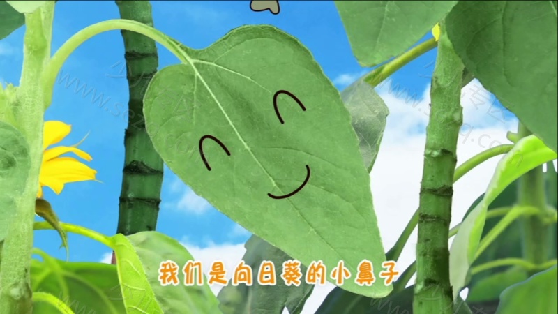 巧虎学习版5~6岁2019年1月~12月的剧照截图1