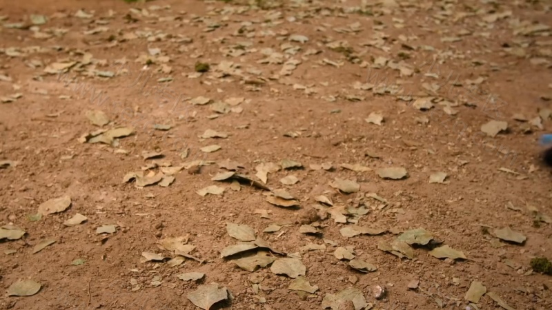 故事机器人的剧照截图1