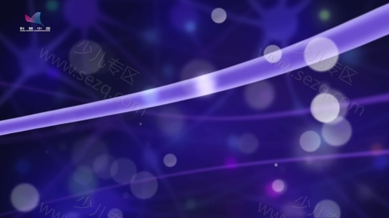 艾伦教授的魔法纸牌的剧照截图3