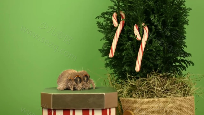 小蜘蛛卢卡斯的剧照截图3