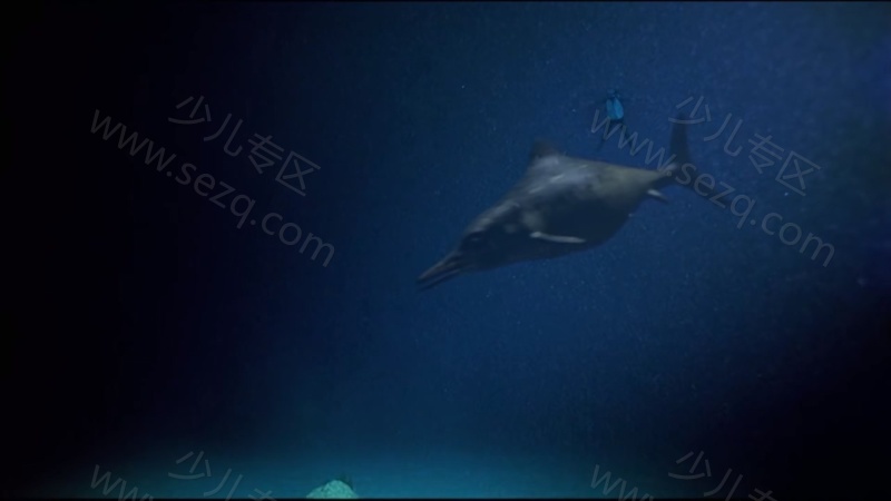 安迪的史前冒险的剧照截图6