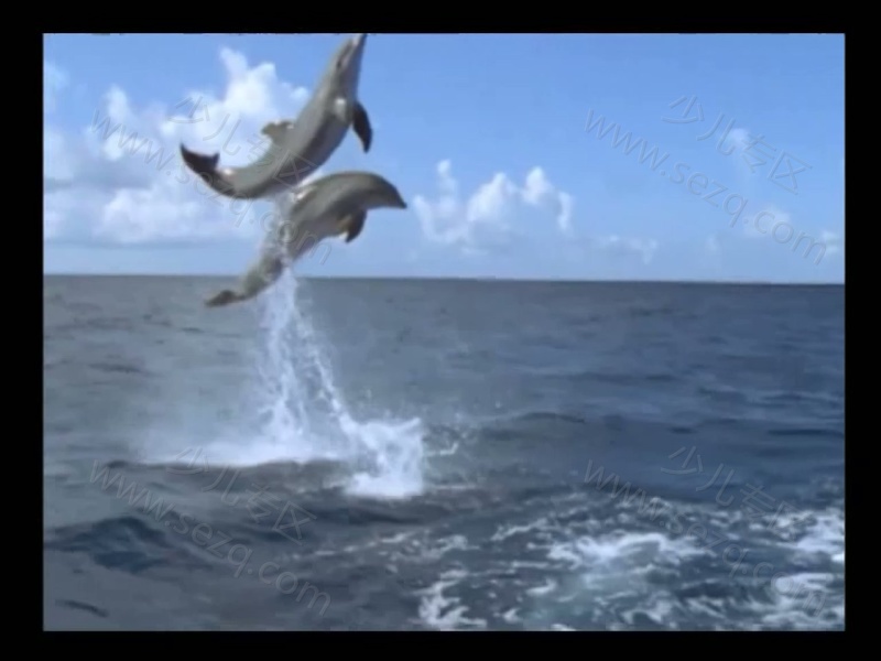 13月-35个月的剧照截图7