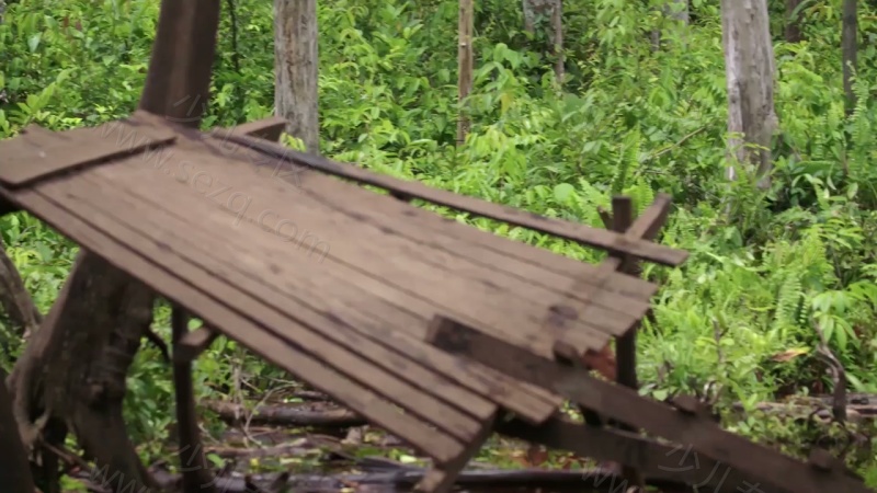 猩球学院的剧照截图6