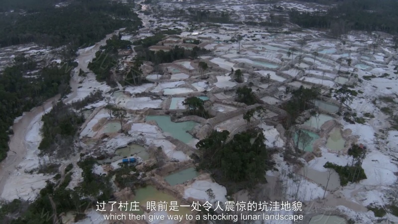 猩球学院的剧照截图1