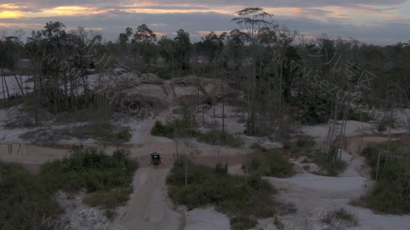 猩球学院的剧照截图5