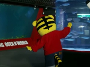 益智动画片《巧虎学习版5~6岁2015年1月~12月》全12集 国语版 高清/MP4/5.27GB 下载