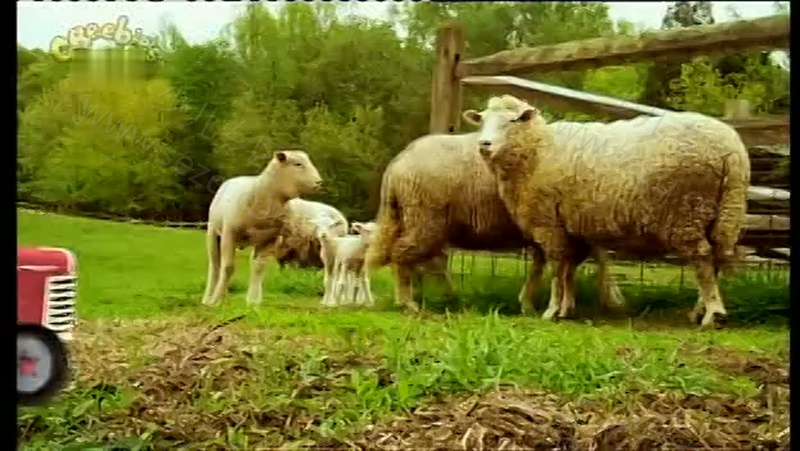 艾拉贝拉答对了的剧照截图5